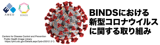 BINDSにおける新型コロナウイルスに関する取り組み