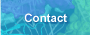 Contact／お問い合わせ