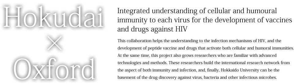 Integrated understanding of cellular and humoural immunity to each virus for the development of vaccines and drugs against HIV